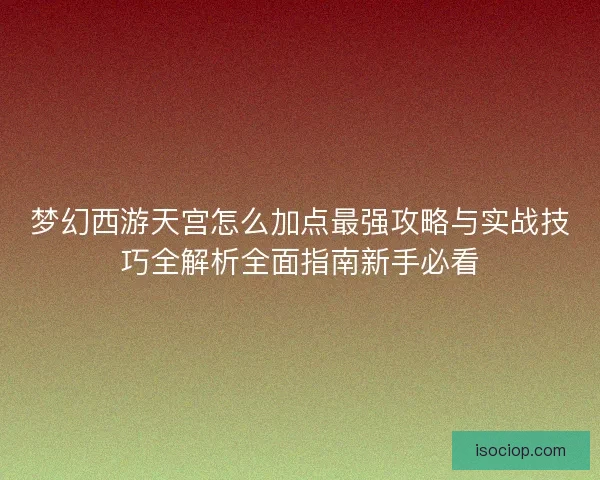 梦幻西游天宫怎么加点最强攻略与实战技巧全解析全面指南新手必看